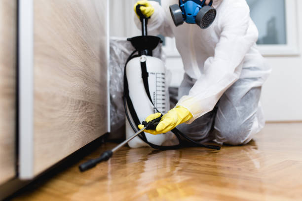 Reliable Cortland, OH Pest Control Solutions