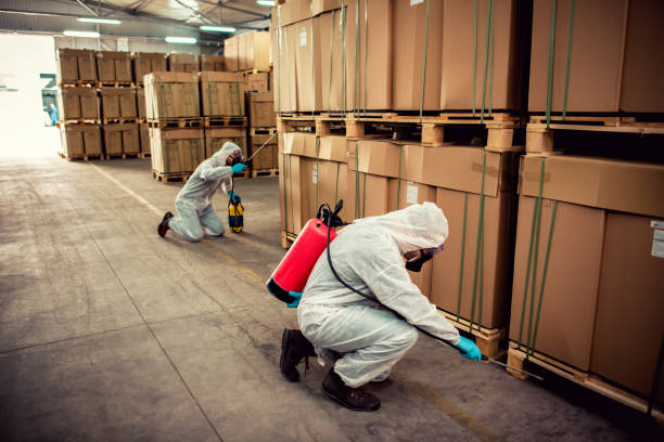 Best Cockroach Control Services  in Cortland, OH