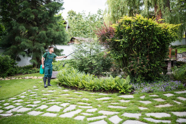 Best Ant Control Services  in Cortland, OH