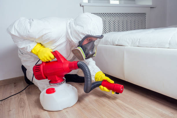 Best Local Pest Control Services  in Cortland, OH