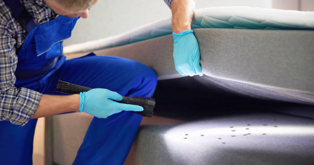 Best Best Pest Control Companies  in Cortland, OH