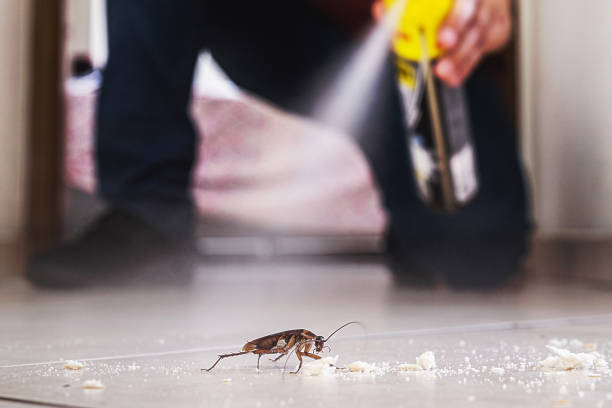 Best Emergency Pest Control  in Cortland, OH