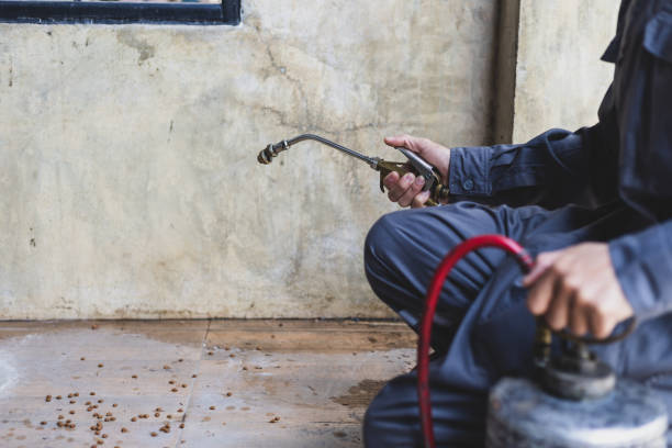 Pest Control Cost in Cortland, OH